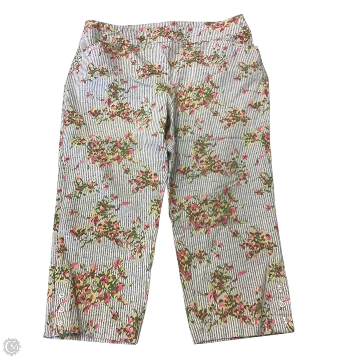 Pants Other By Chicos In Floral Print, Size: 14