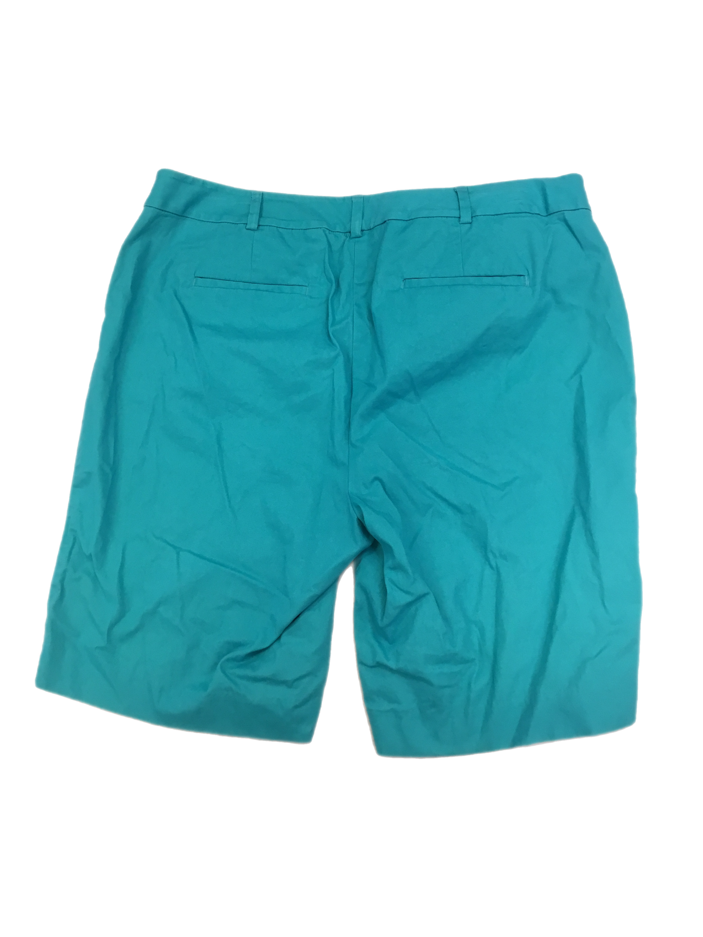 Shorts By Talbots In Teal, Size: 16