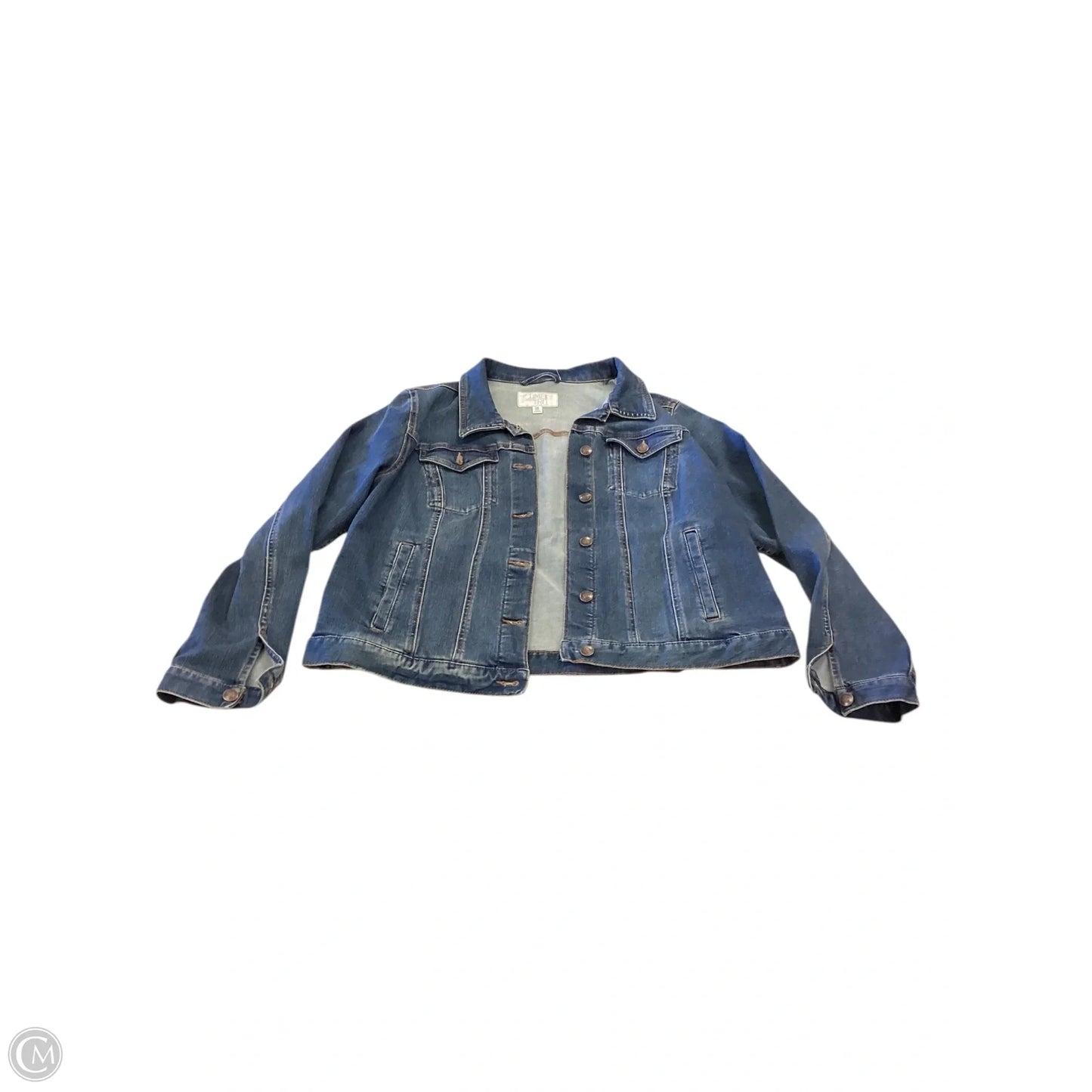 Jacket Denim By Time And Tru In Blue, Size: Xxl