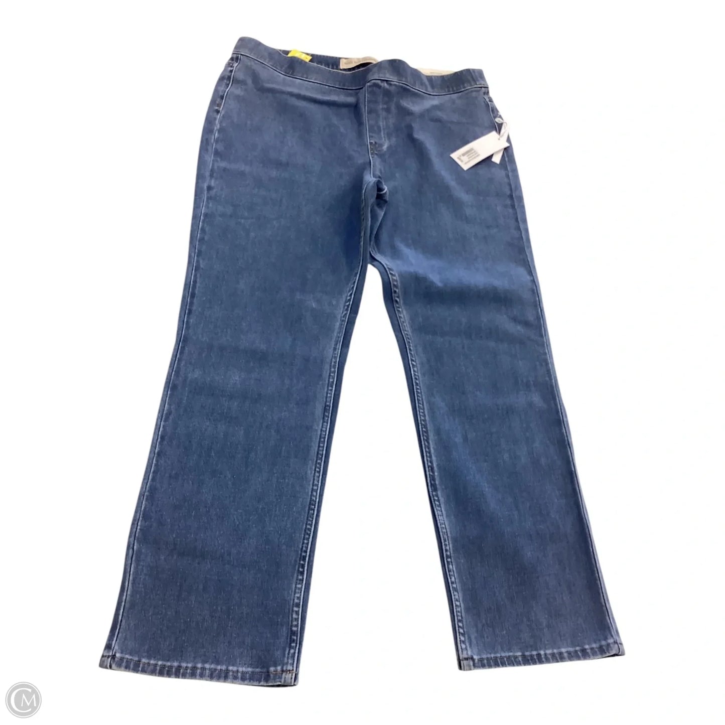 Pants Other By Soft Surroundings In Blue, Size: Xl