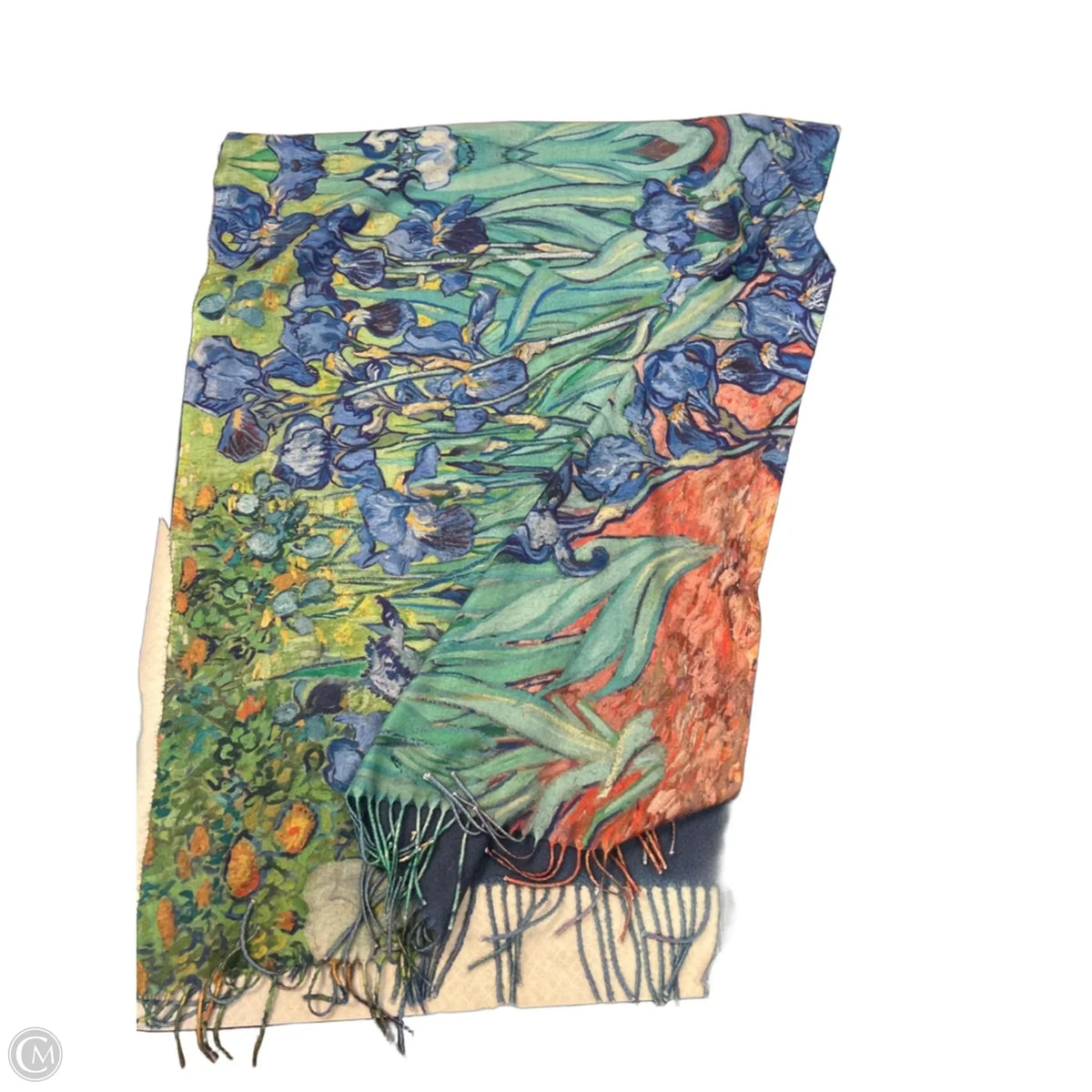 Scarf Long By Clothes Mentor