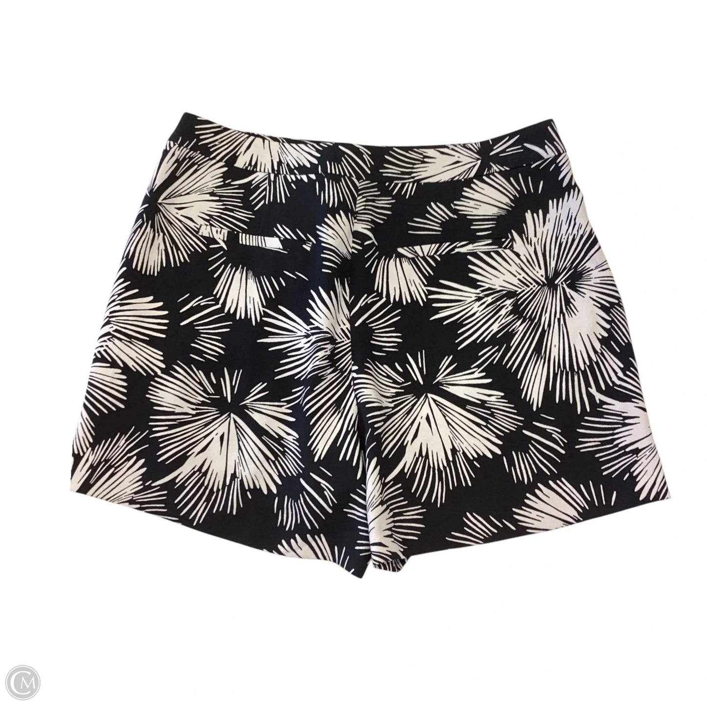 Shorts By Ann Taylor In Black & Cream, Size: 8