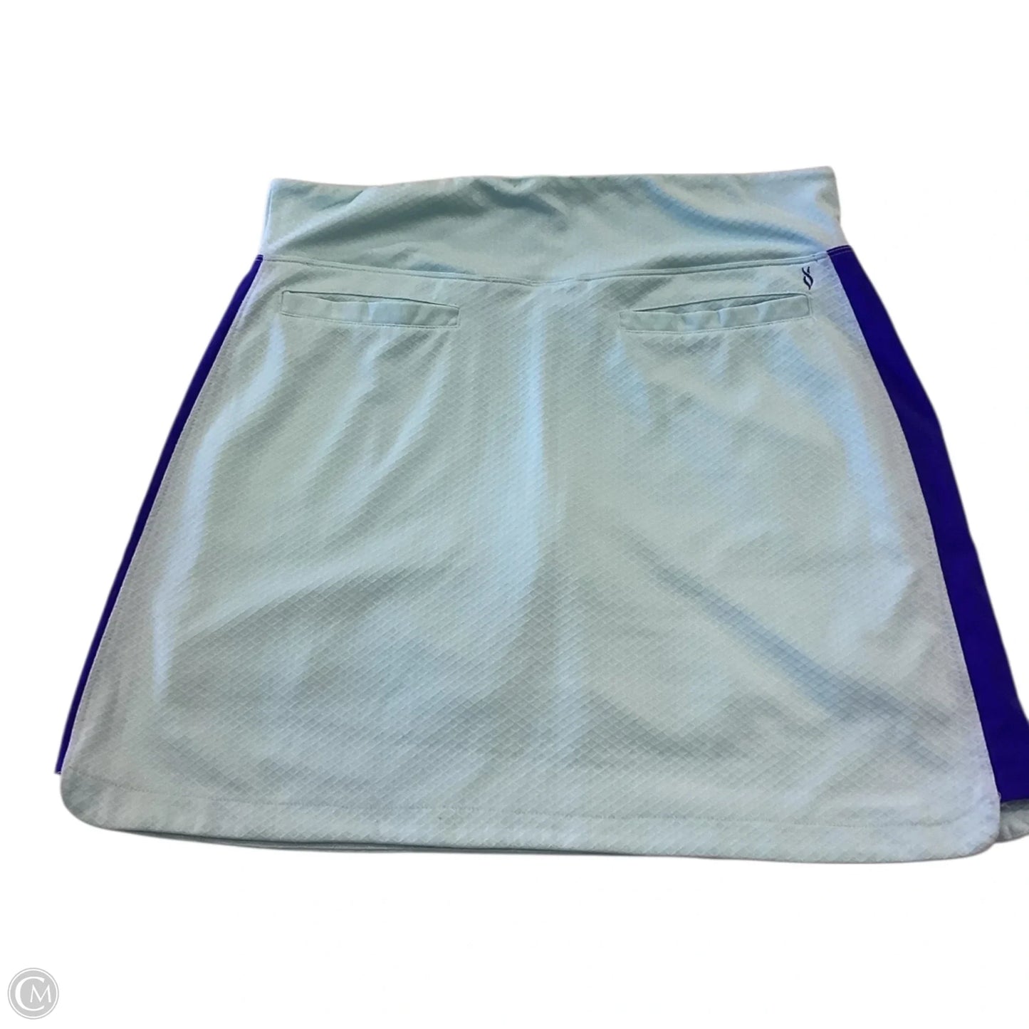 Athletic Skort By Clothes Mentor In Blue, Size: L