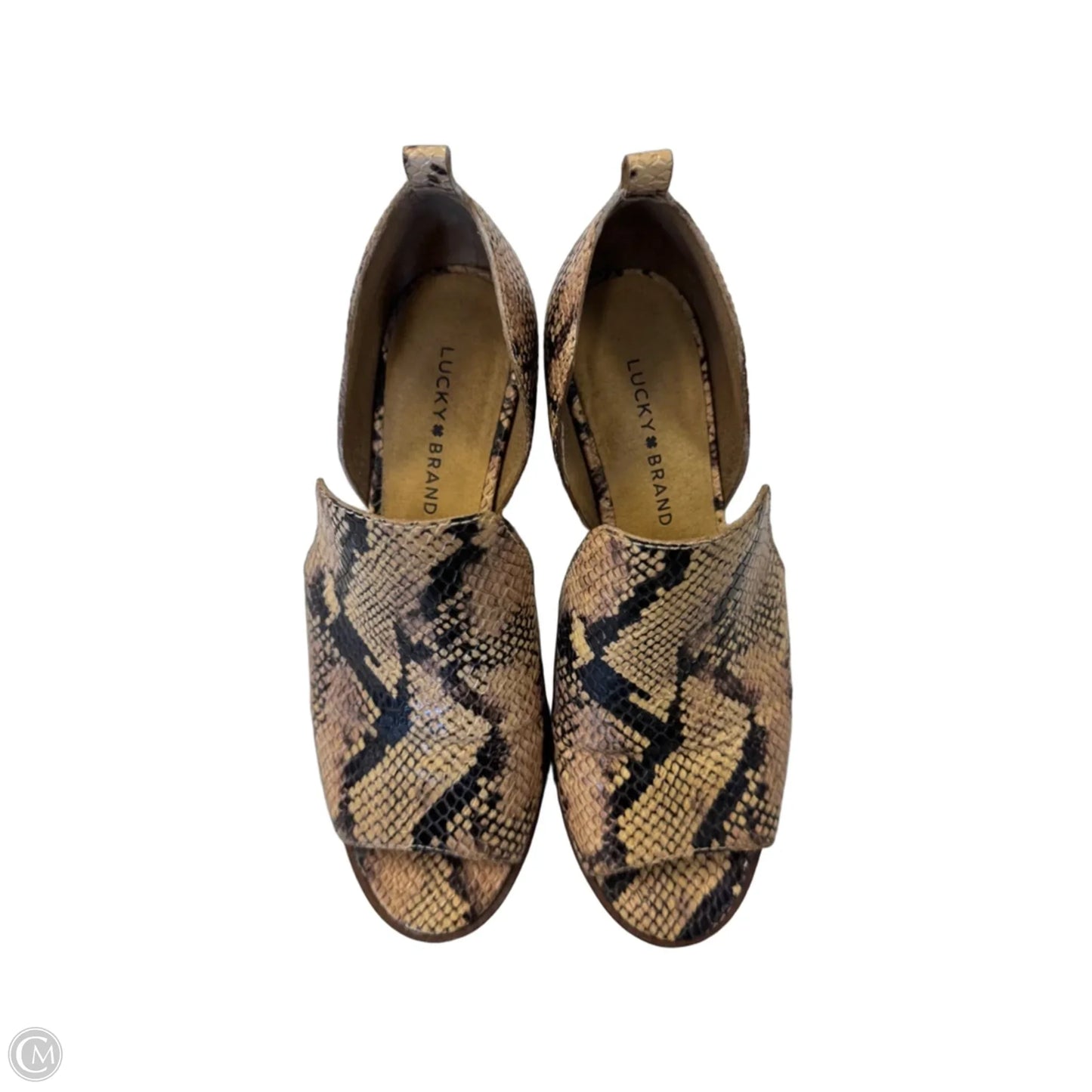 Shoes Heels Block By Lucky Brand In Snakeskin Print, Size: 9