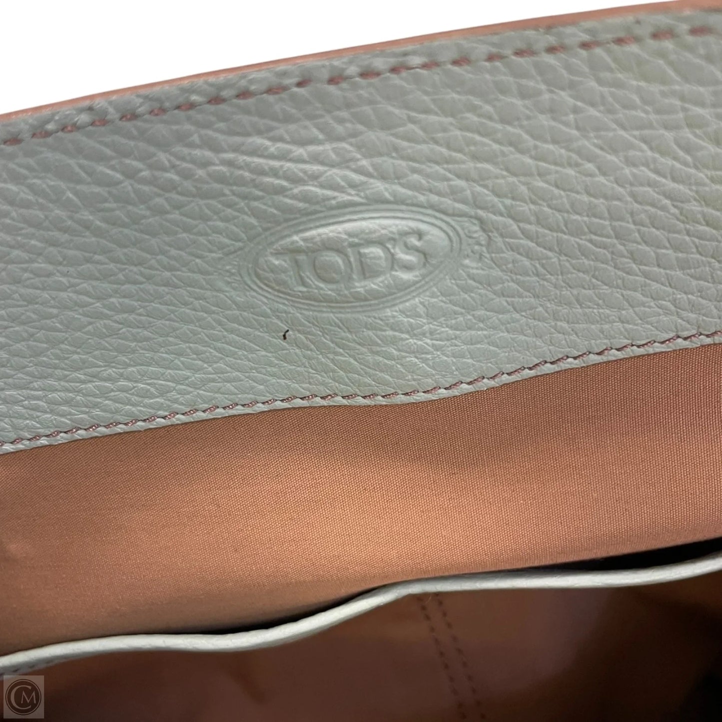 Handbag Luxury Designer By Tods, Size: Large