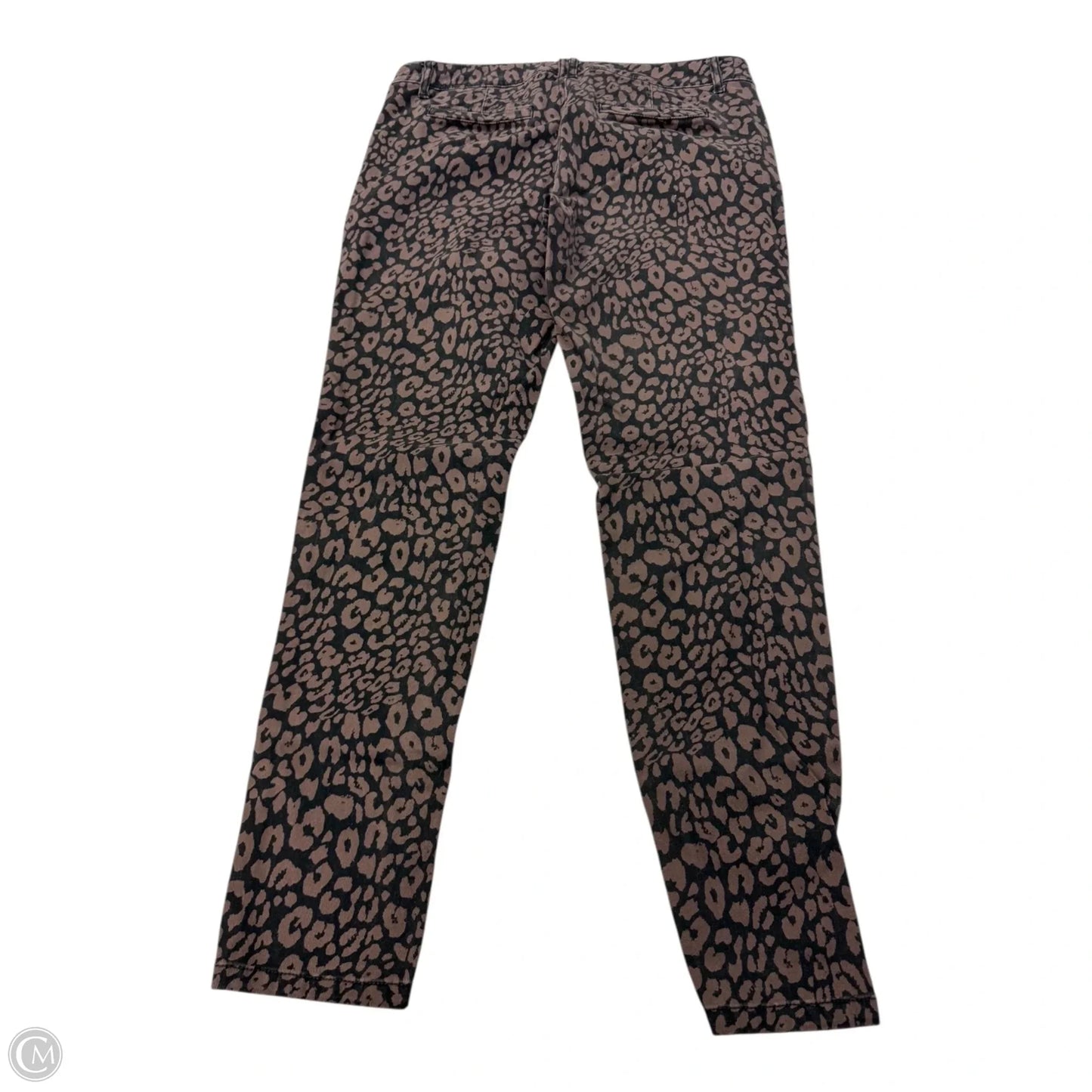 Pants Other By Sanctuary In Animal Print, Size: 6