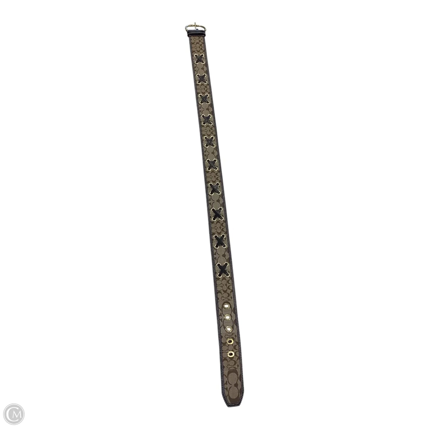 Belt Bag Designer By Coach, Size: Medium