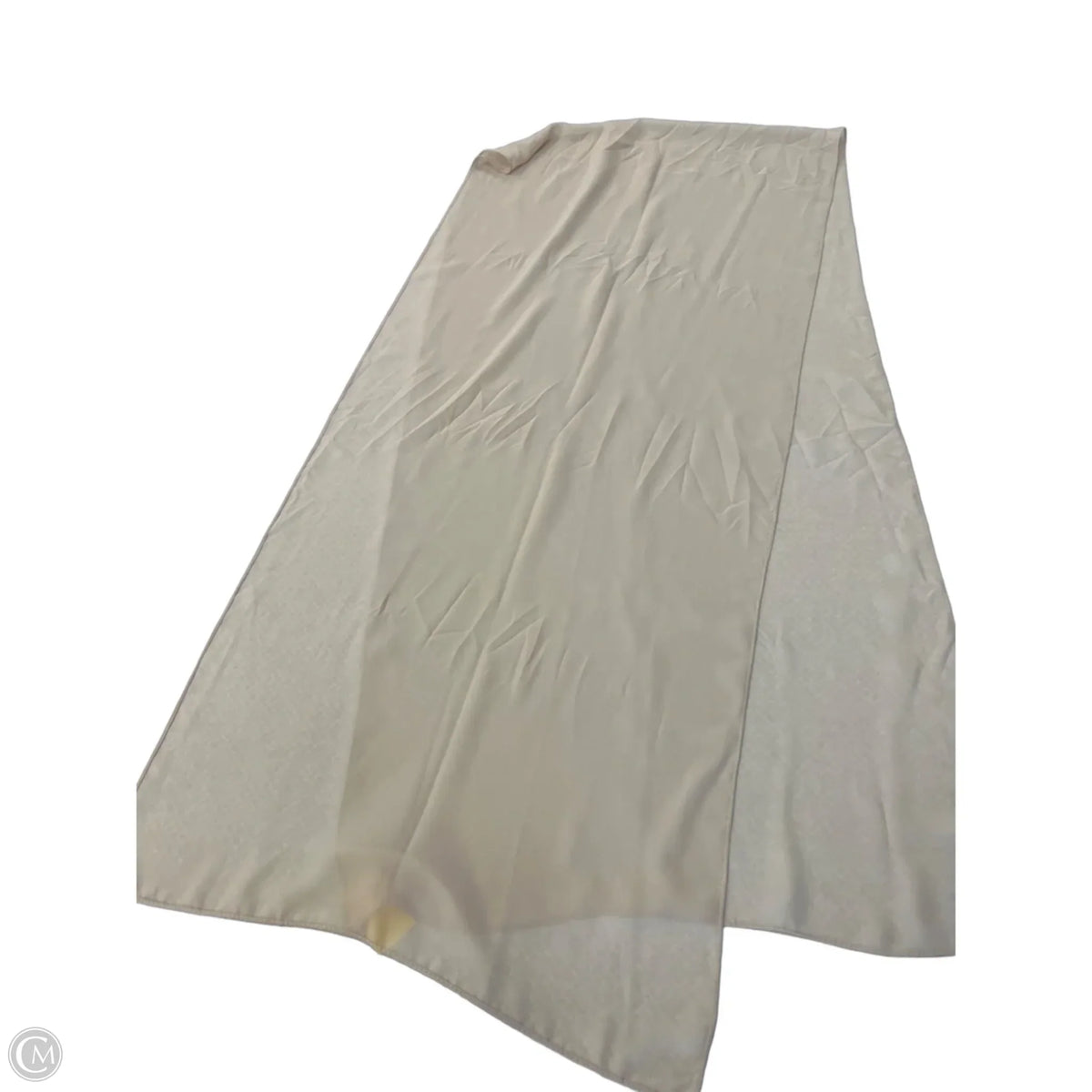 Scarf Long By Clothes Mentor