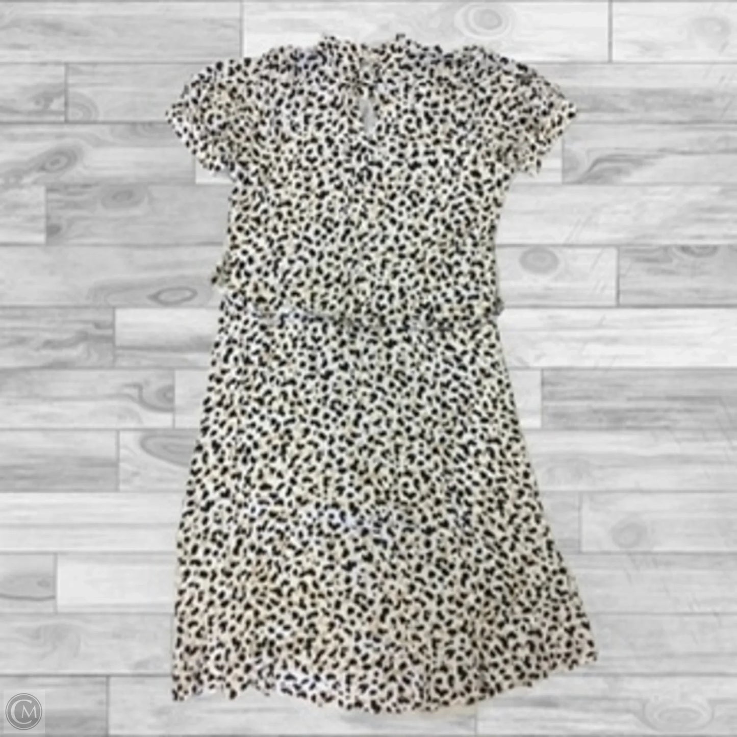 Dress Casual Short By Ann Taylor In Animal Print, Size: 6p