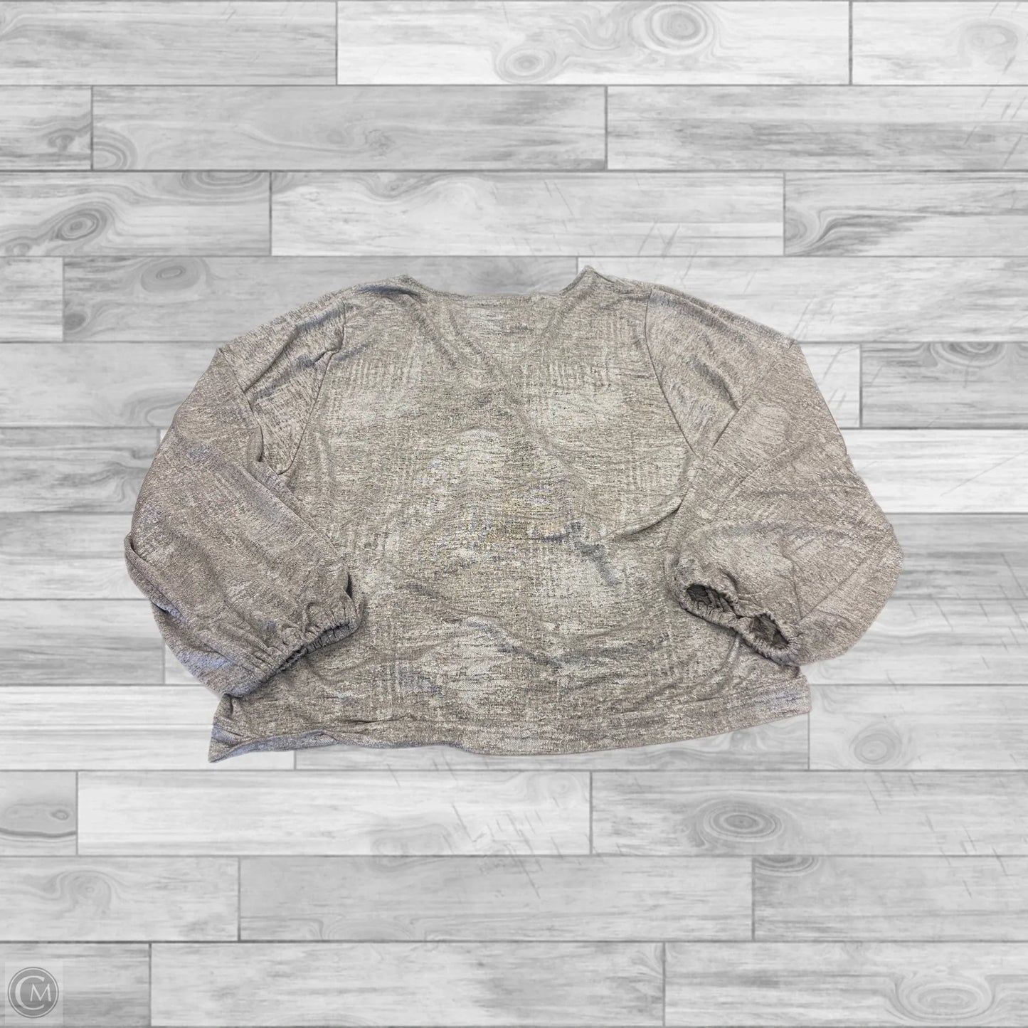 Top Long Sleeve By Anthropologie In Silver, Size: L