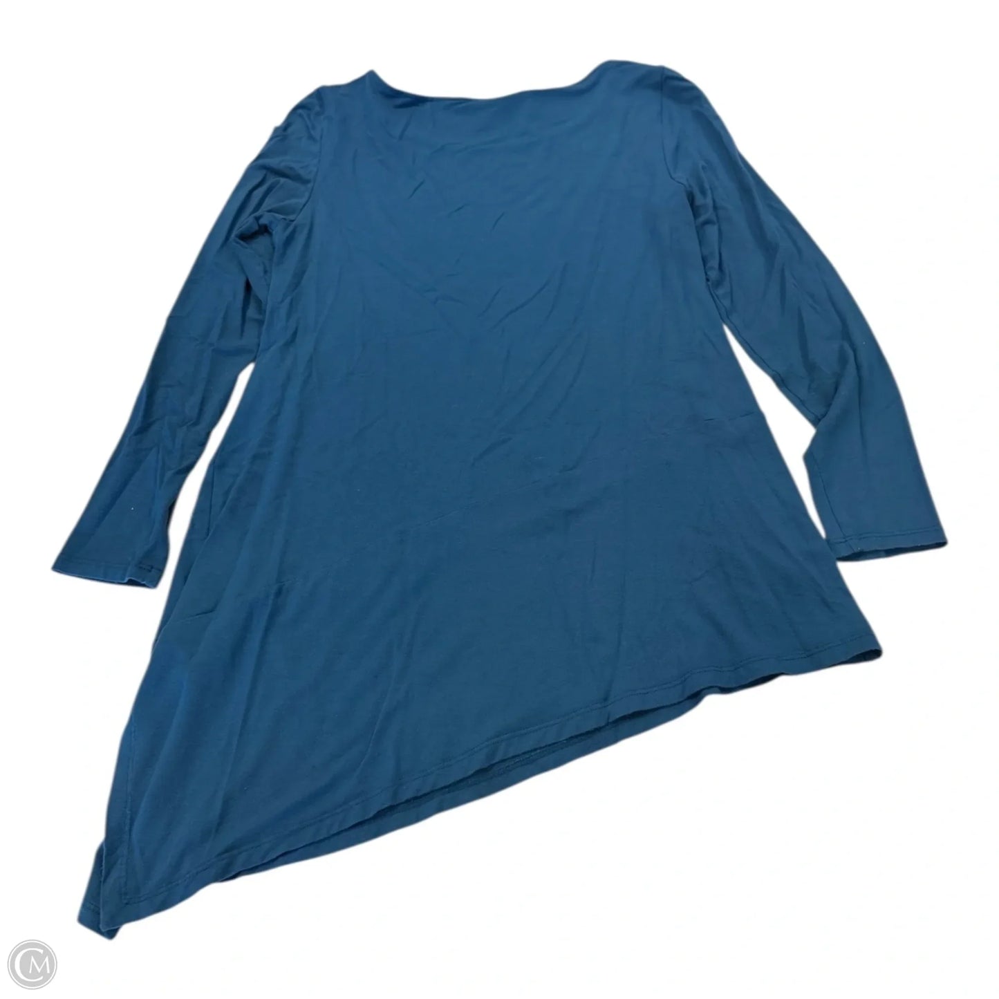 Top Long Sleeve By Eileen Fisher In Blue, Size: S