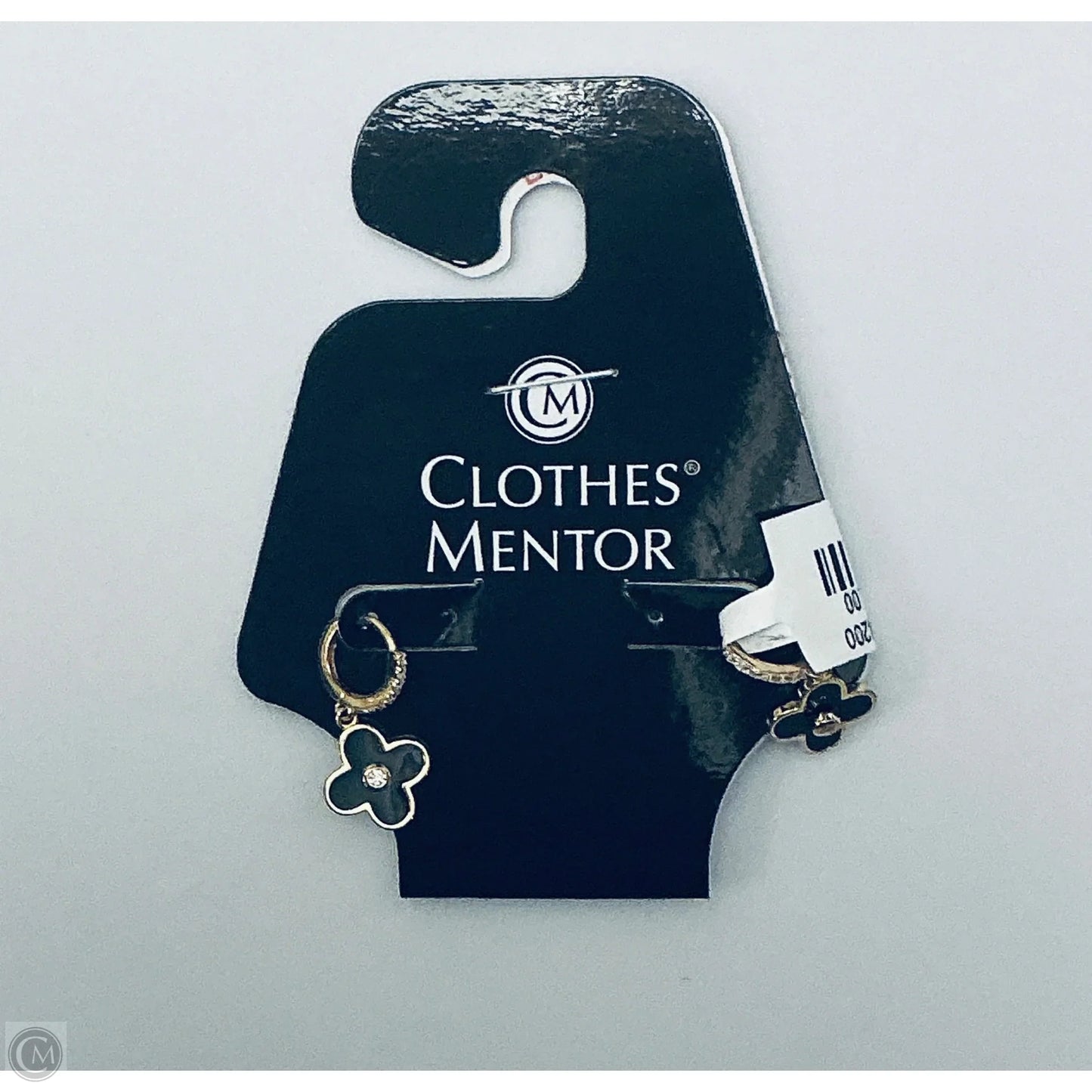 Earrings Hoop By Rachel Zoe