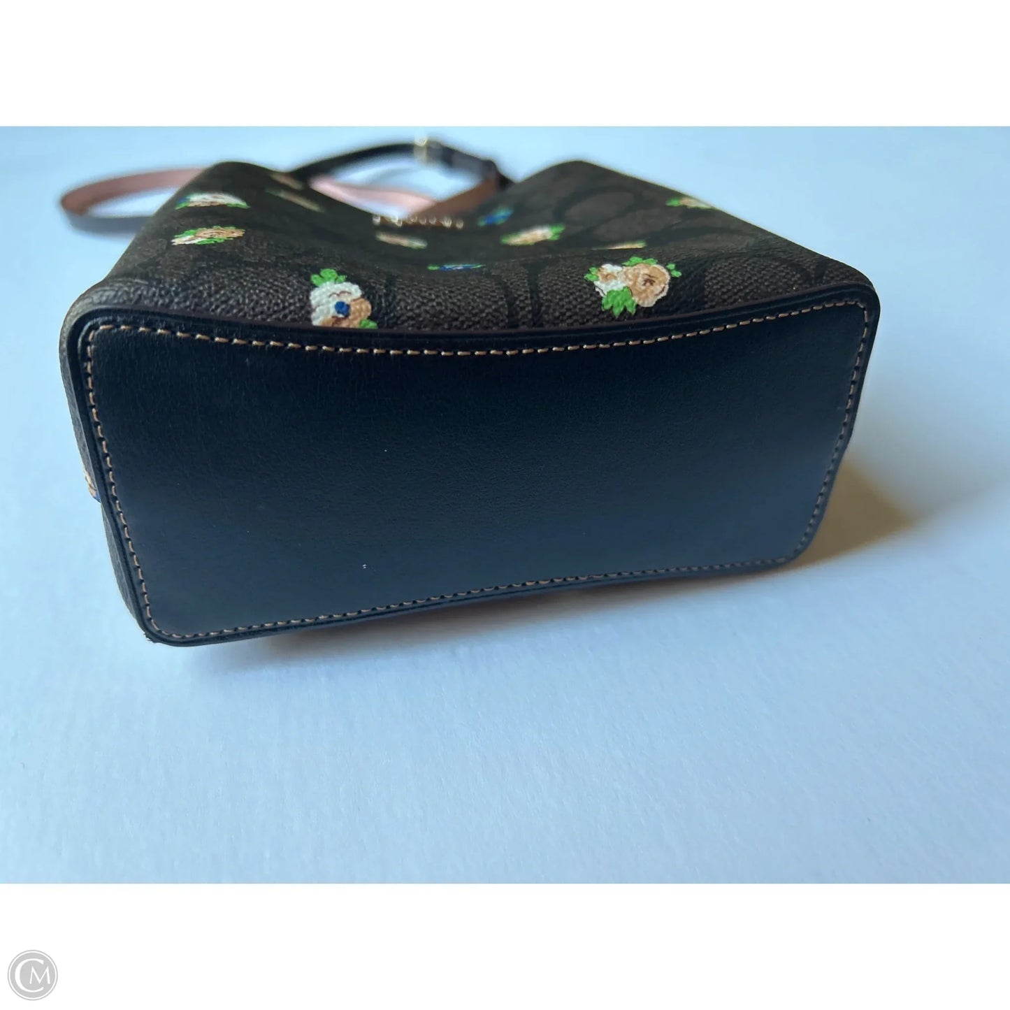 Crossbody Designer By Coach