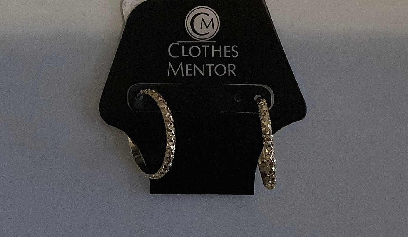 Earrings Dangle/drop By Clothes Mentor