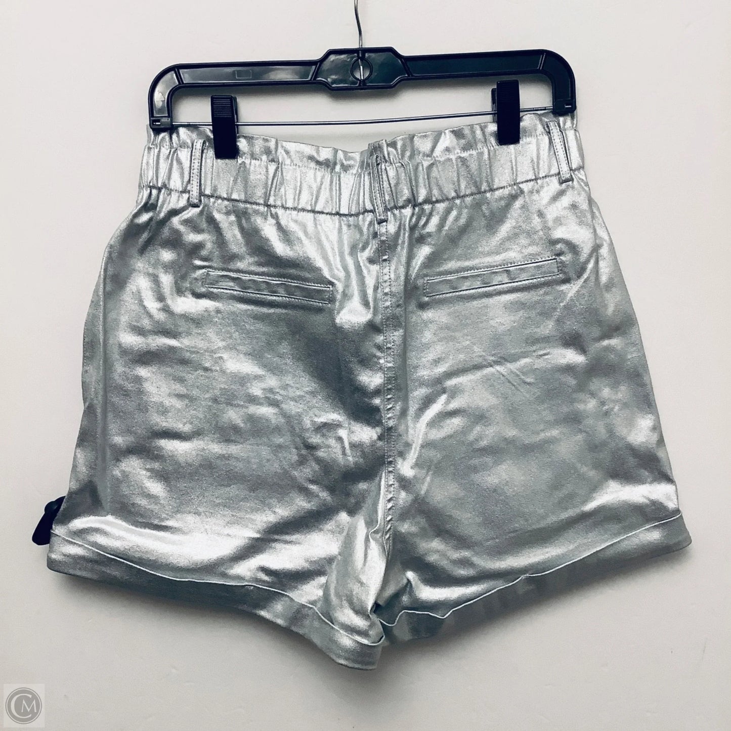 Shorts By Skies Are Blue In Silver, Size: L