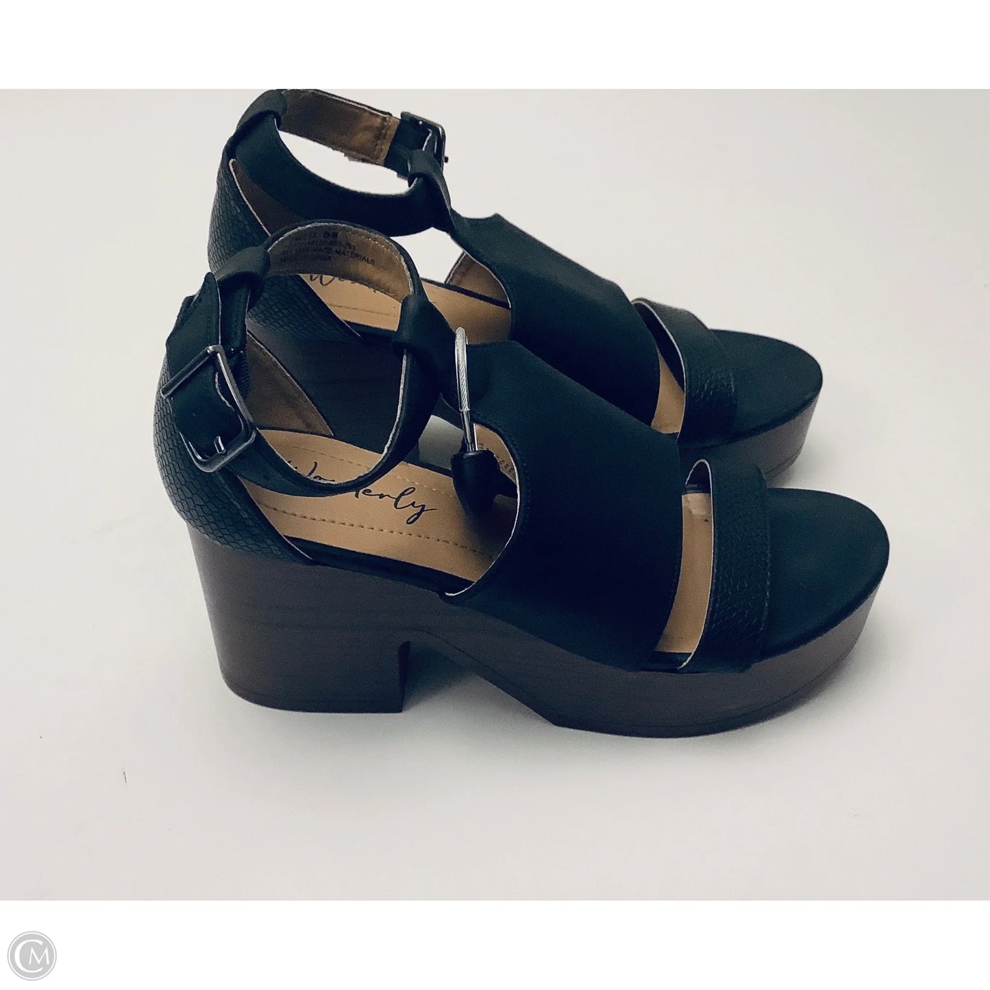 Sandals Heels Wedge By Wonderly In Black, Size: 6
