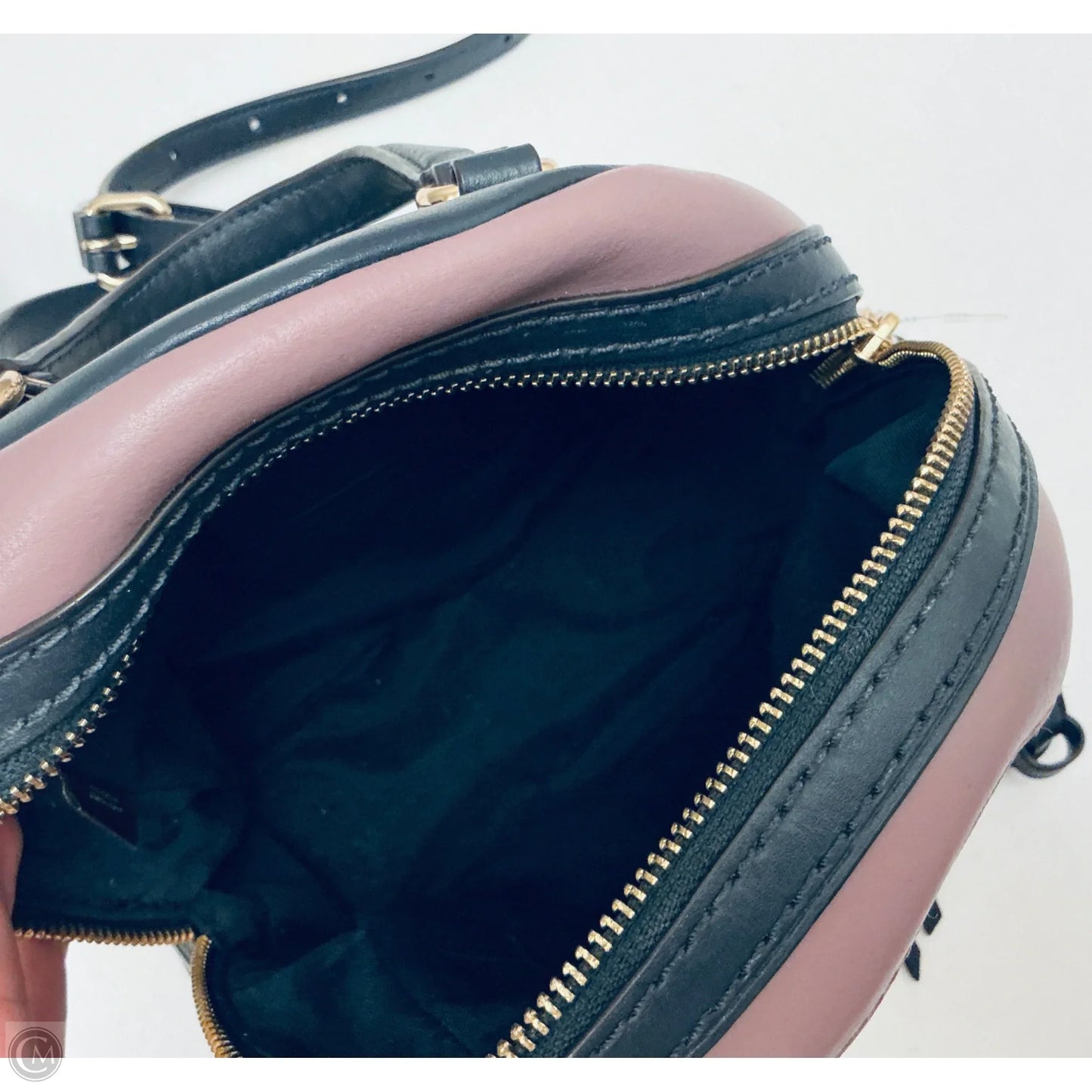 Backpack Designer By Coach, Size: Small