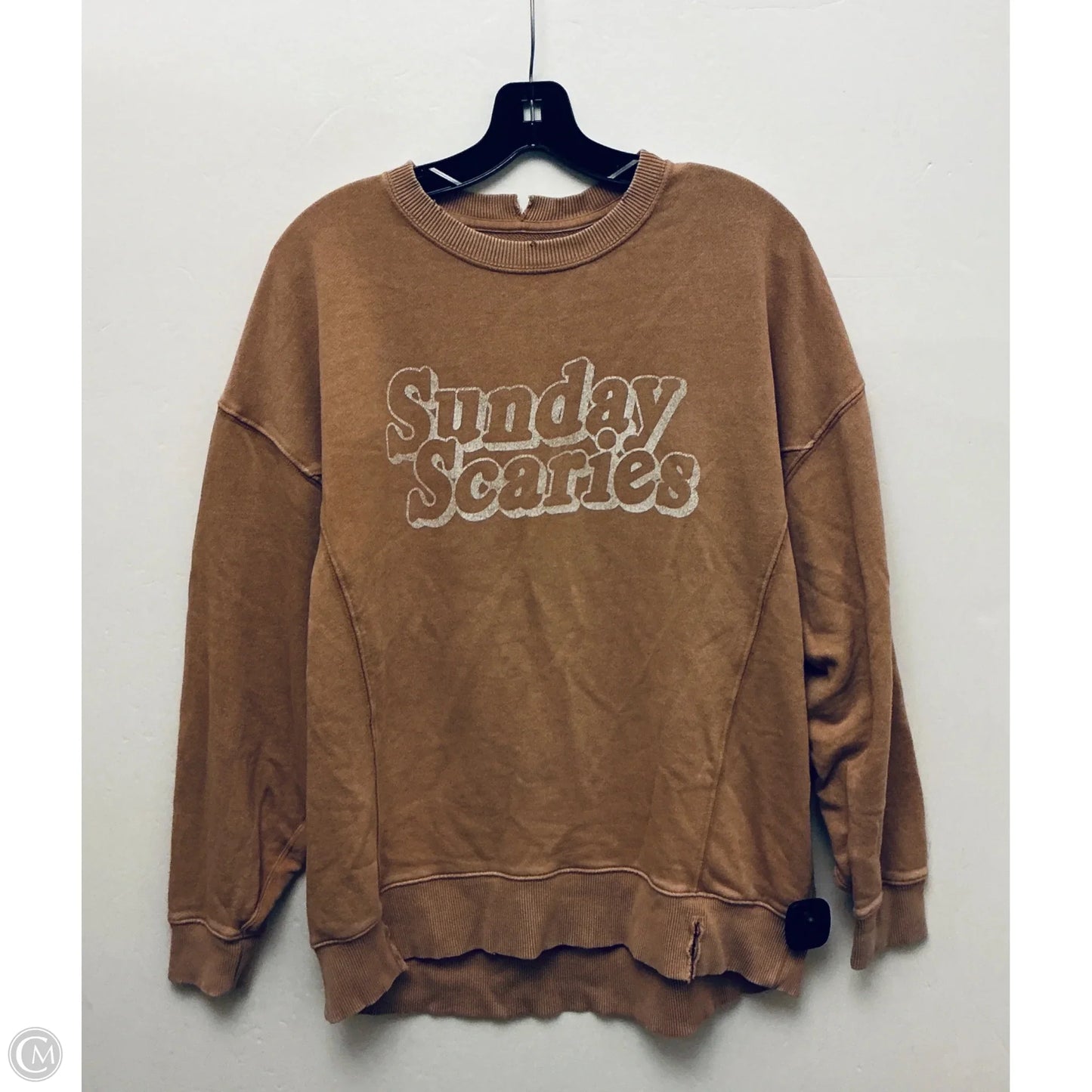 Sweatshirt Crewneck By Aerie In Bronze, Size: S