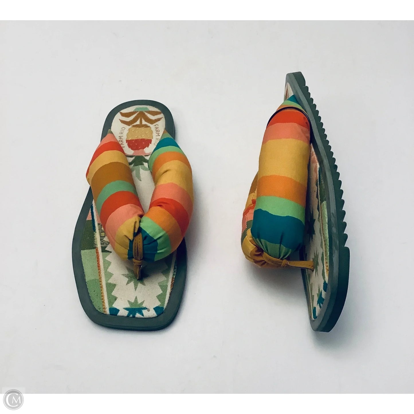 Sandals Flip Flops By Farm Rio In Multi-colored, Size: 9