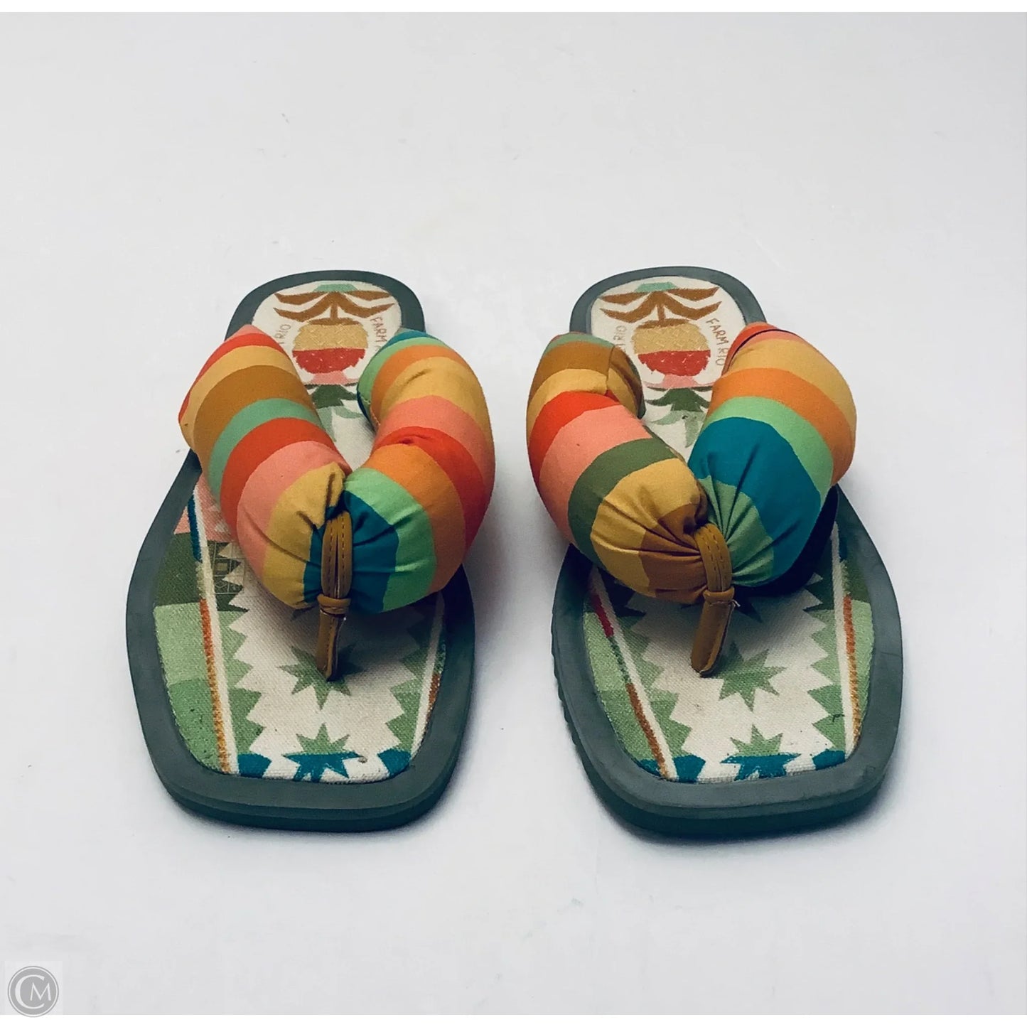 Sandals Flip Flops By Farm Rio In Multi-colored, Size: 9