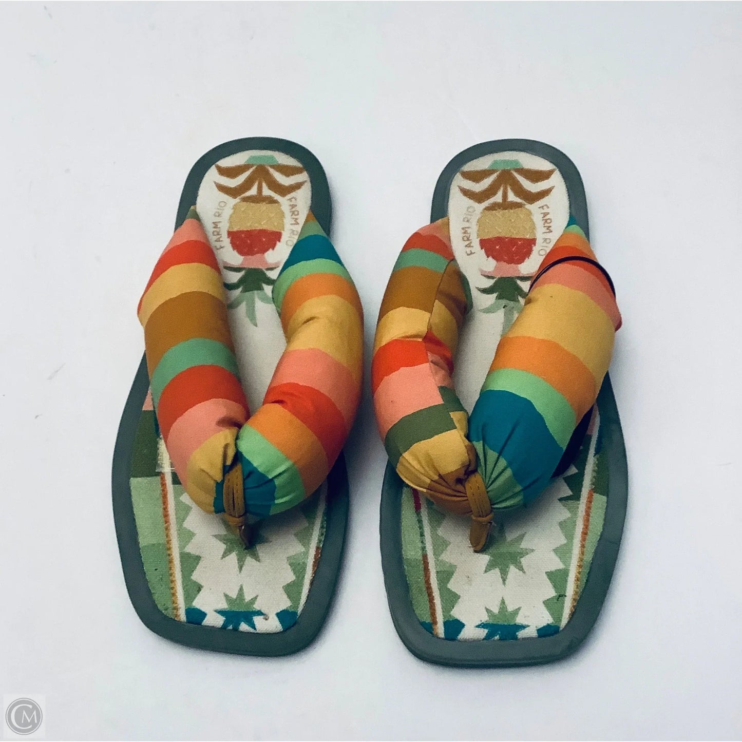 Sandals Flip Flops By Farm Rio In Multi-colored, Size: 9