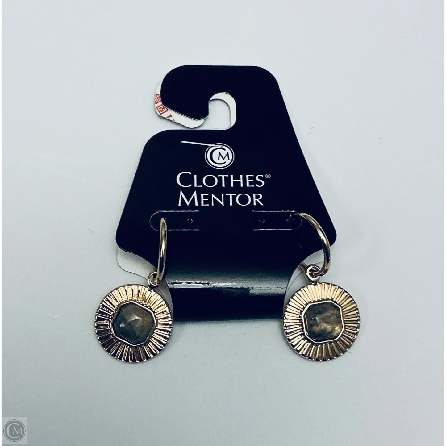 Earrings Dangle/drop By Clothes Mentor
