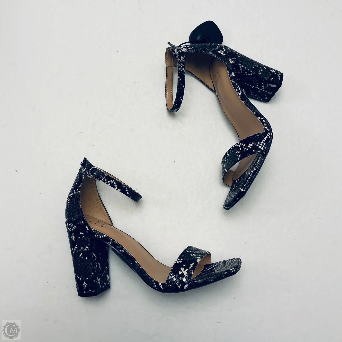 Shoes Heels Block By A New Day In Snakeskin Print, Size: 6.5