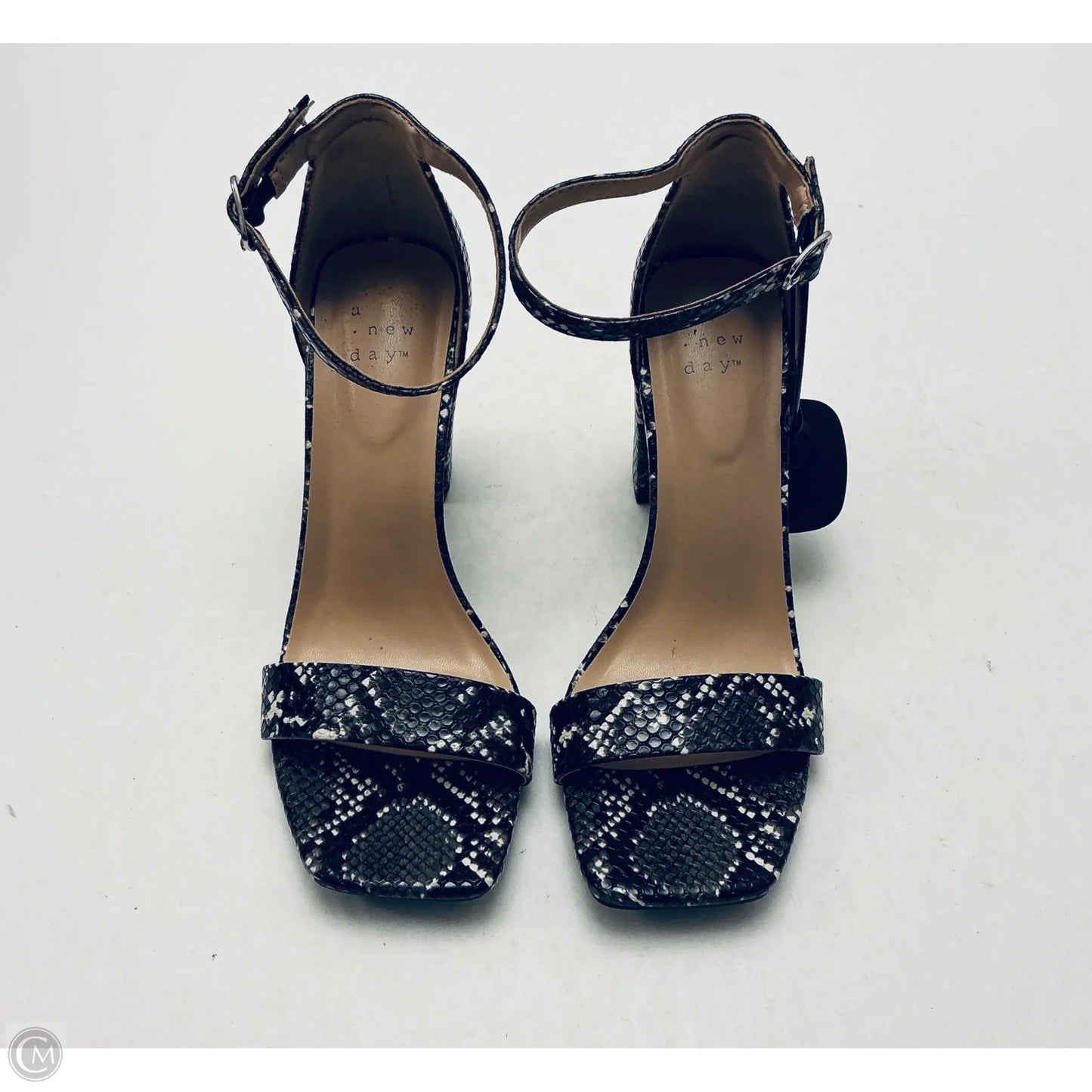 Shoes Heels Block By A New Day In Snakeskin Print, Size: 6.5