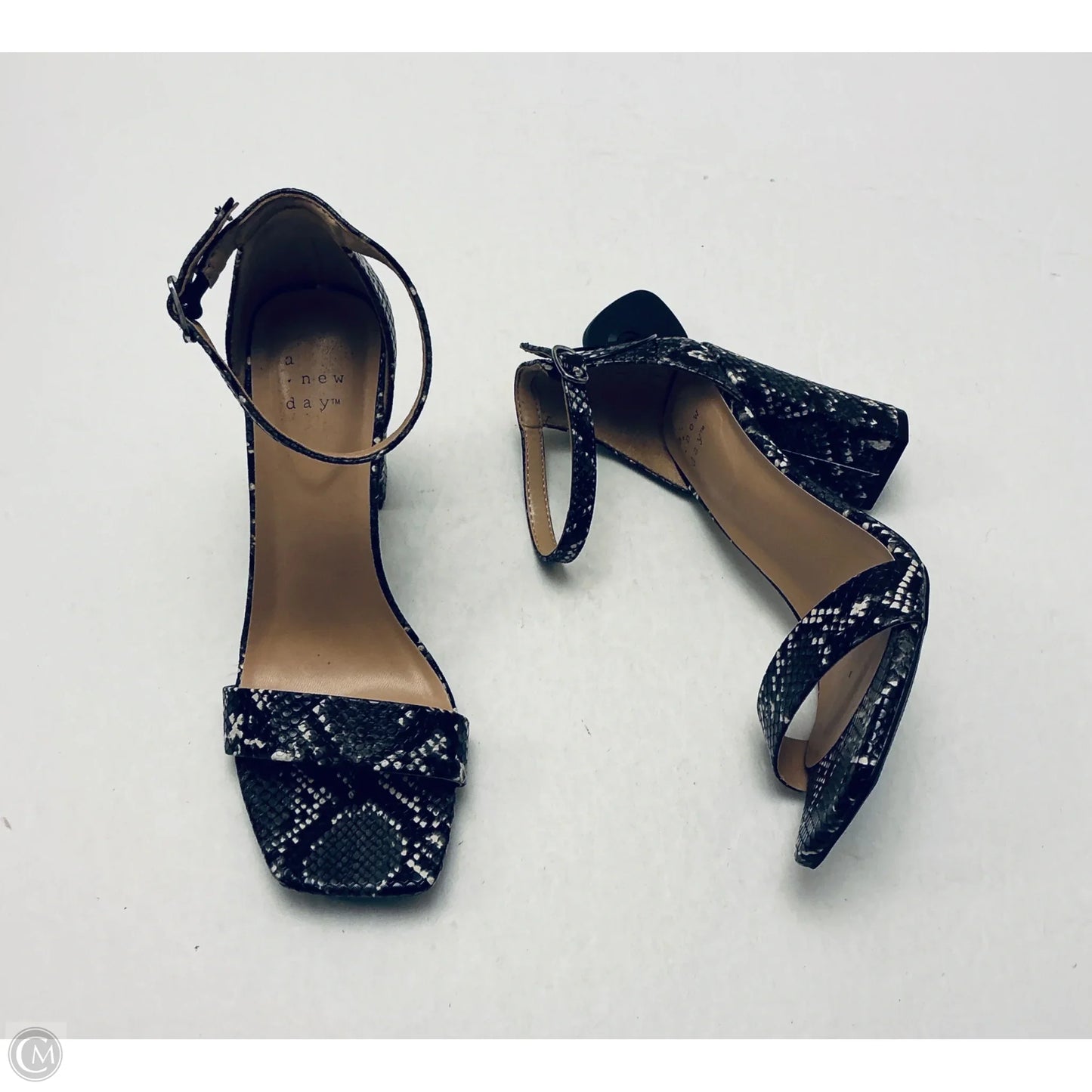 Shoes Heels Block By A New Day In Snakeskin Print, Size: 6.5