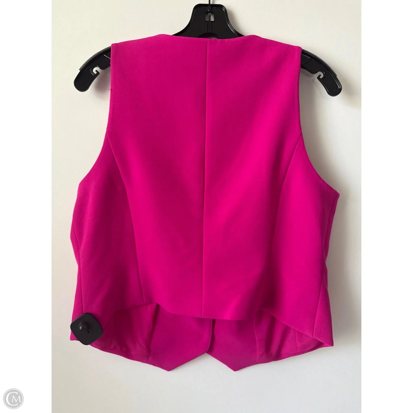 Vest Other By Express In Pink, Size: L