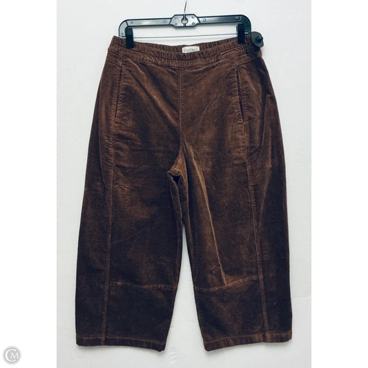 Capris By Pilcro In Brown, Size: Mp