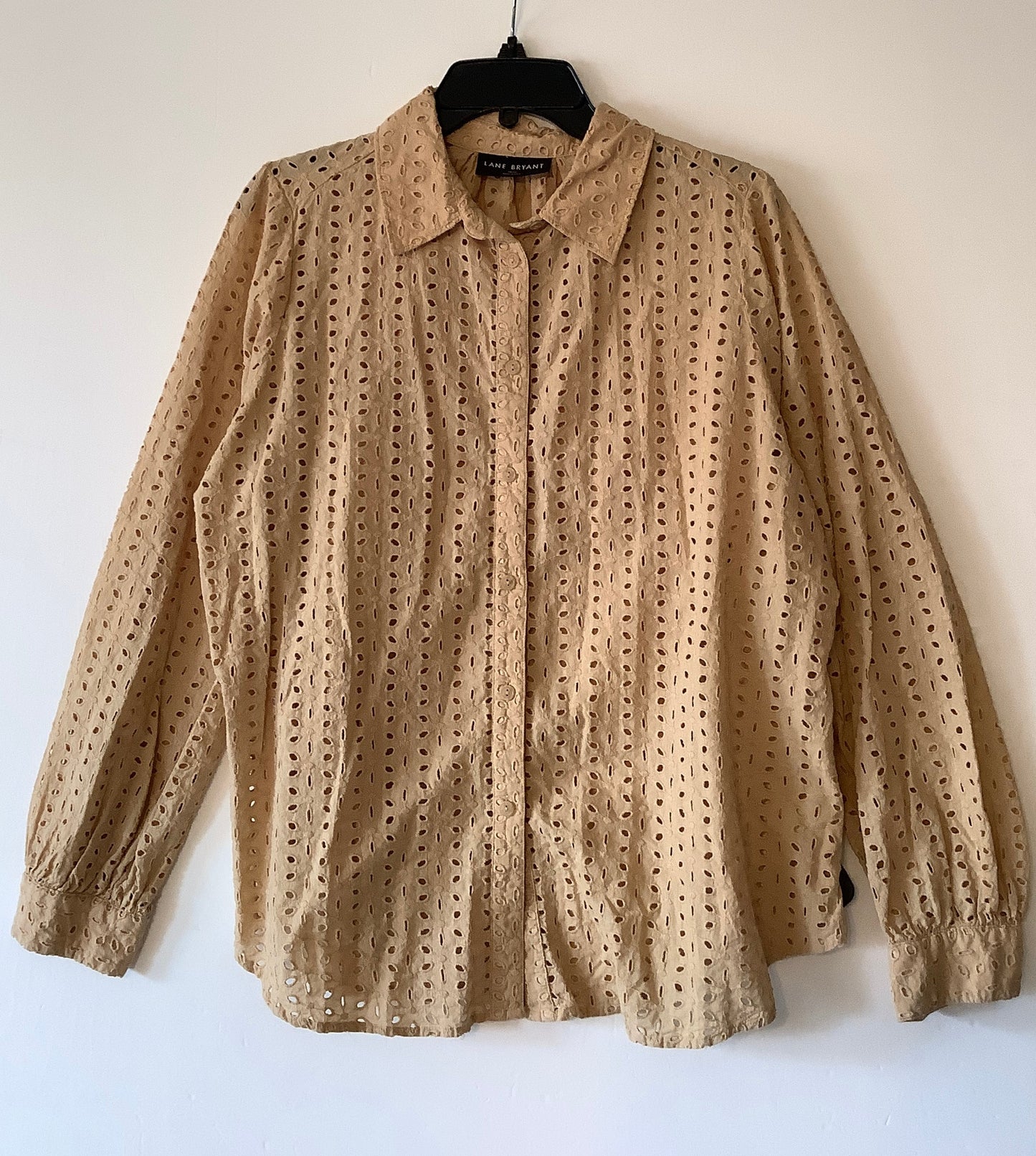 Top Long Sleeve By Lane Bryant In Tan, Size: Xl