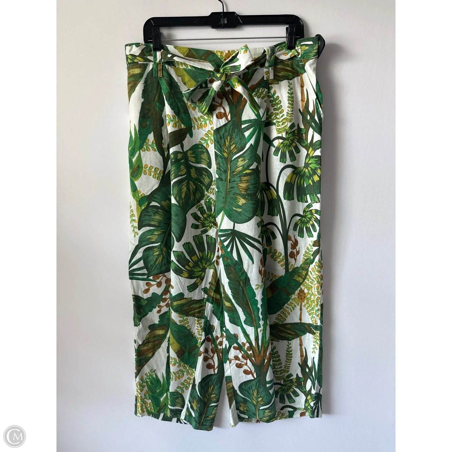 Capris By Joie In Green, Size: 12