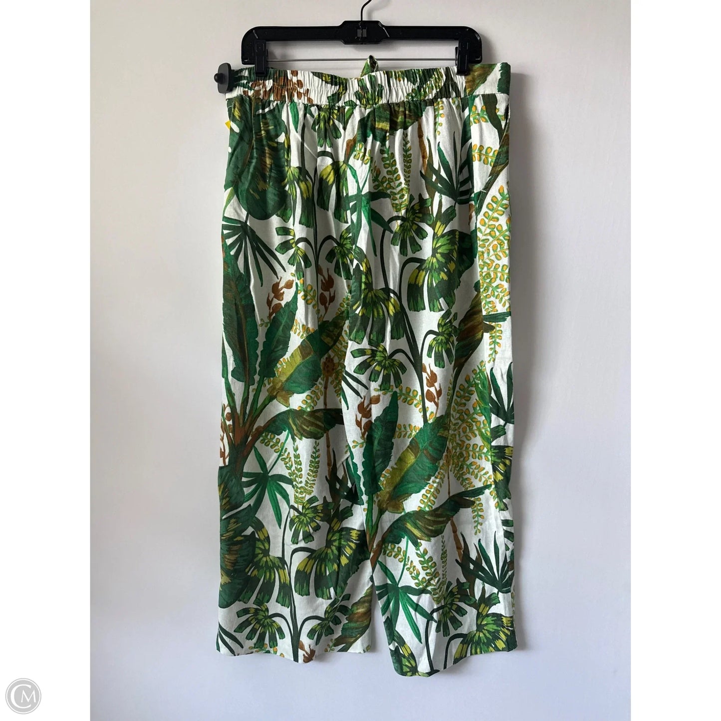 Capris By Joie In Green, Size: 12
