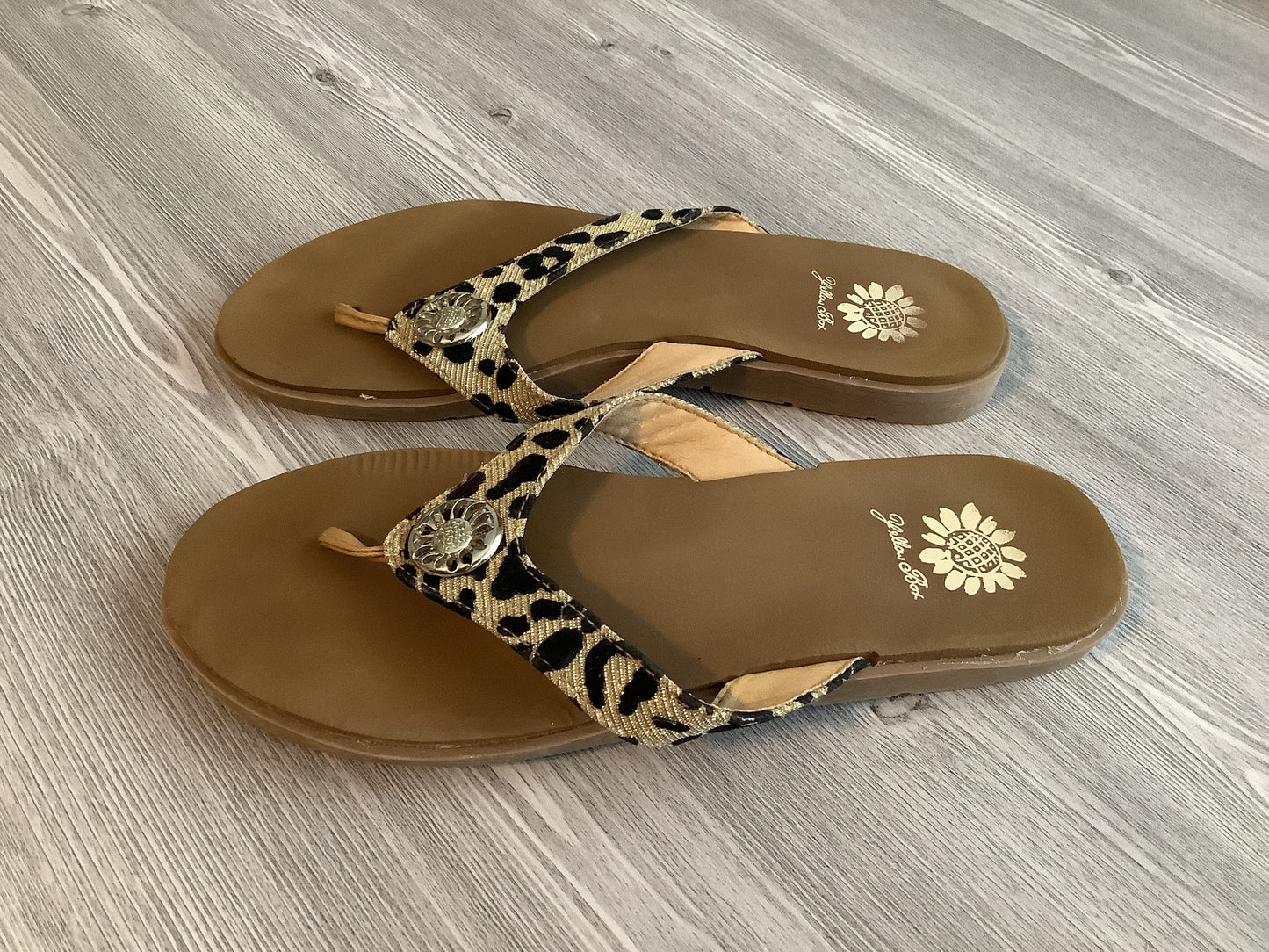 Sandals Flip Flops By Yellow Box  Size: 9