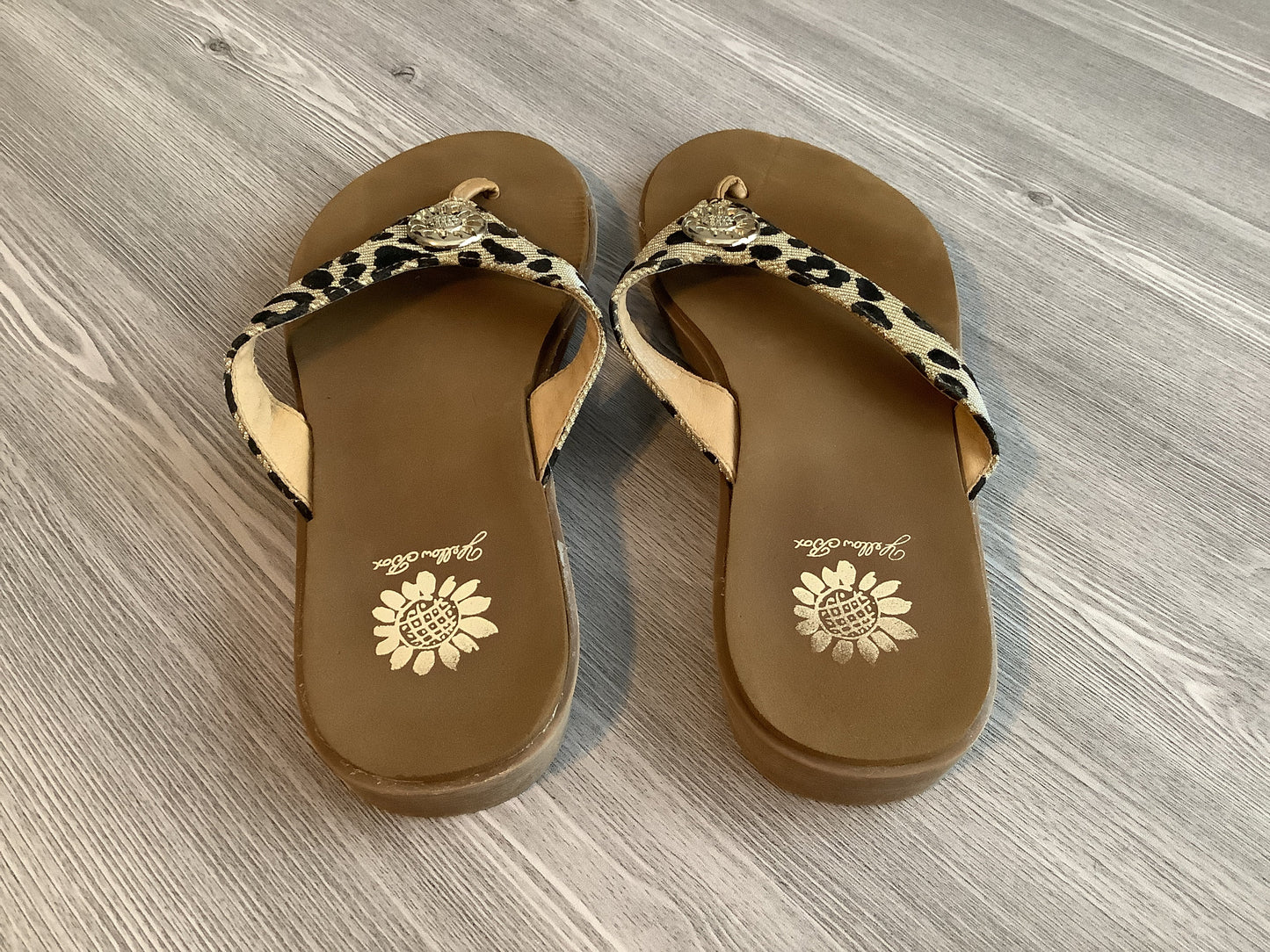 Sandals Flip Flops By Yellow Box  Size: 9