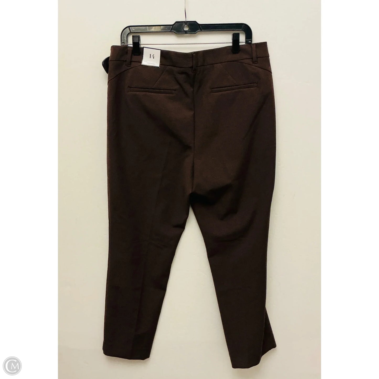 Pants Dress By White House Black Market In Brown, Size: 14