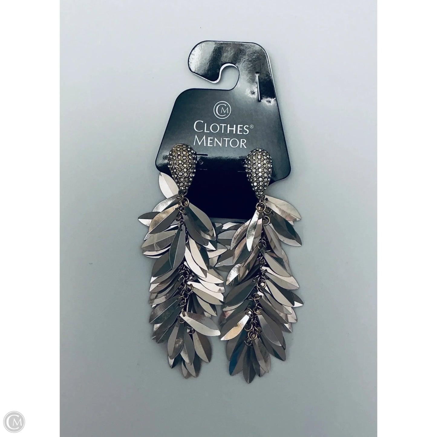 Earrings Dangle/drop By Clothes Mentor