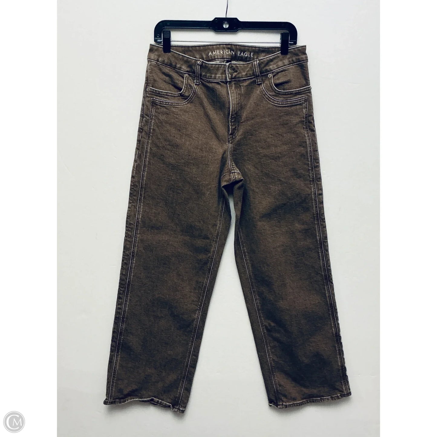 Jeans Wide Leg By American Eagle In Brown Denim, Size: 10