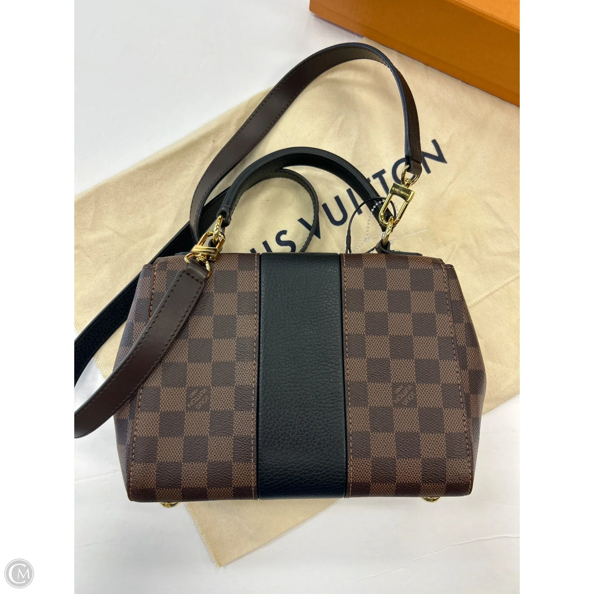 Handbag Luxury Designer By Louis Vuitton