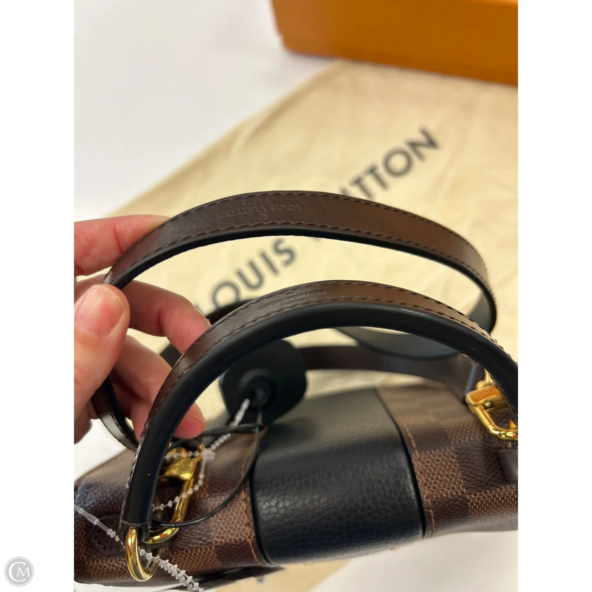 Handbag Luxury Designer By Louis Vuitton