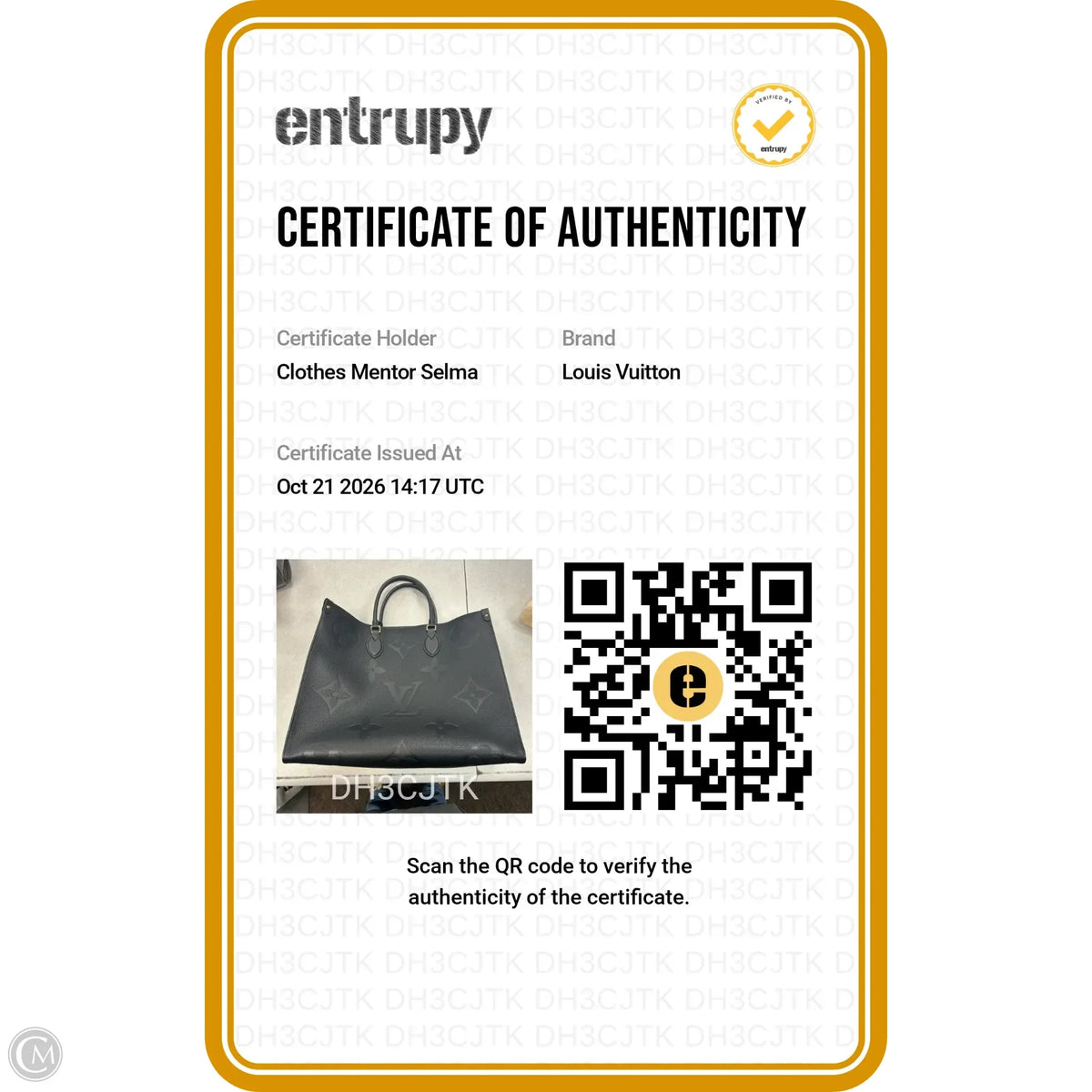 Handbag Luxury Designer By Louis Vuitton