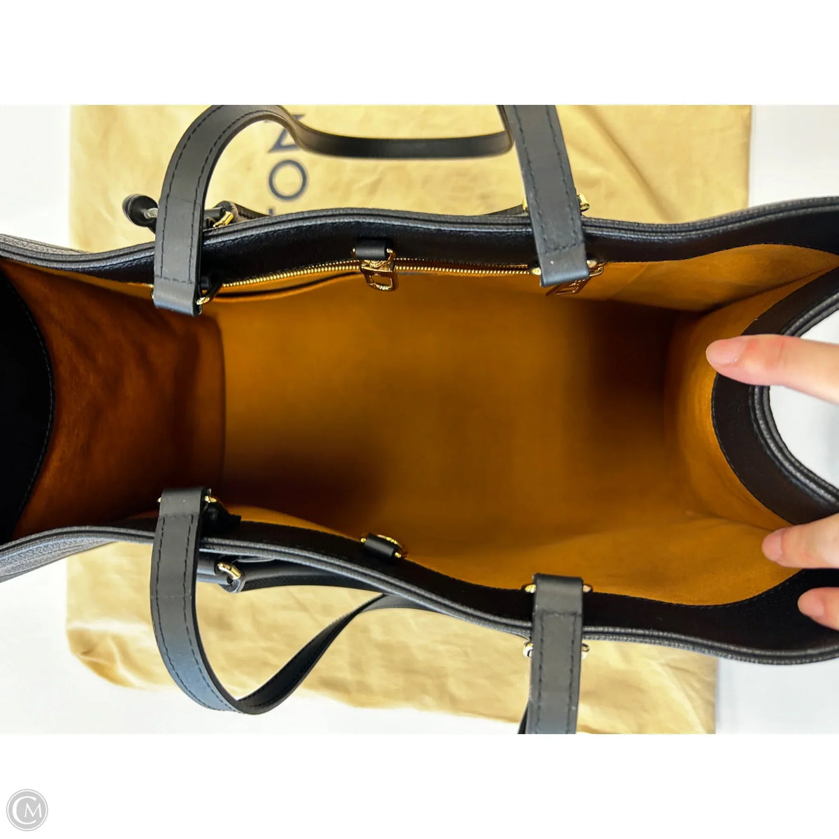 Handbag Luxury Designer By Louis Vuitton