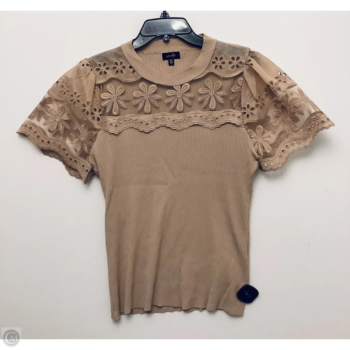 Top Short Sleeve By Clothes Mentor In Tan, Size: Xl