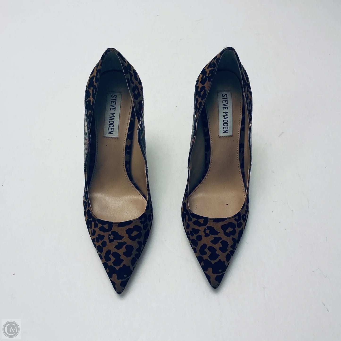 Shoes Heels Stiletto By Steve Madden In Snakeskin Print, Size: 7.5