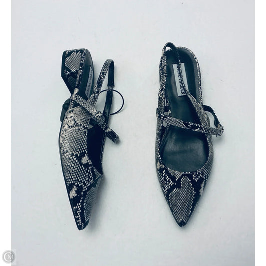 Shoes Flats By Steve Madden In Snakeskin Print, Size: 7.5