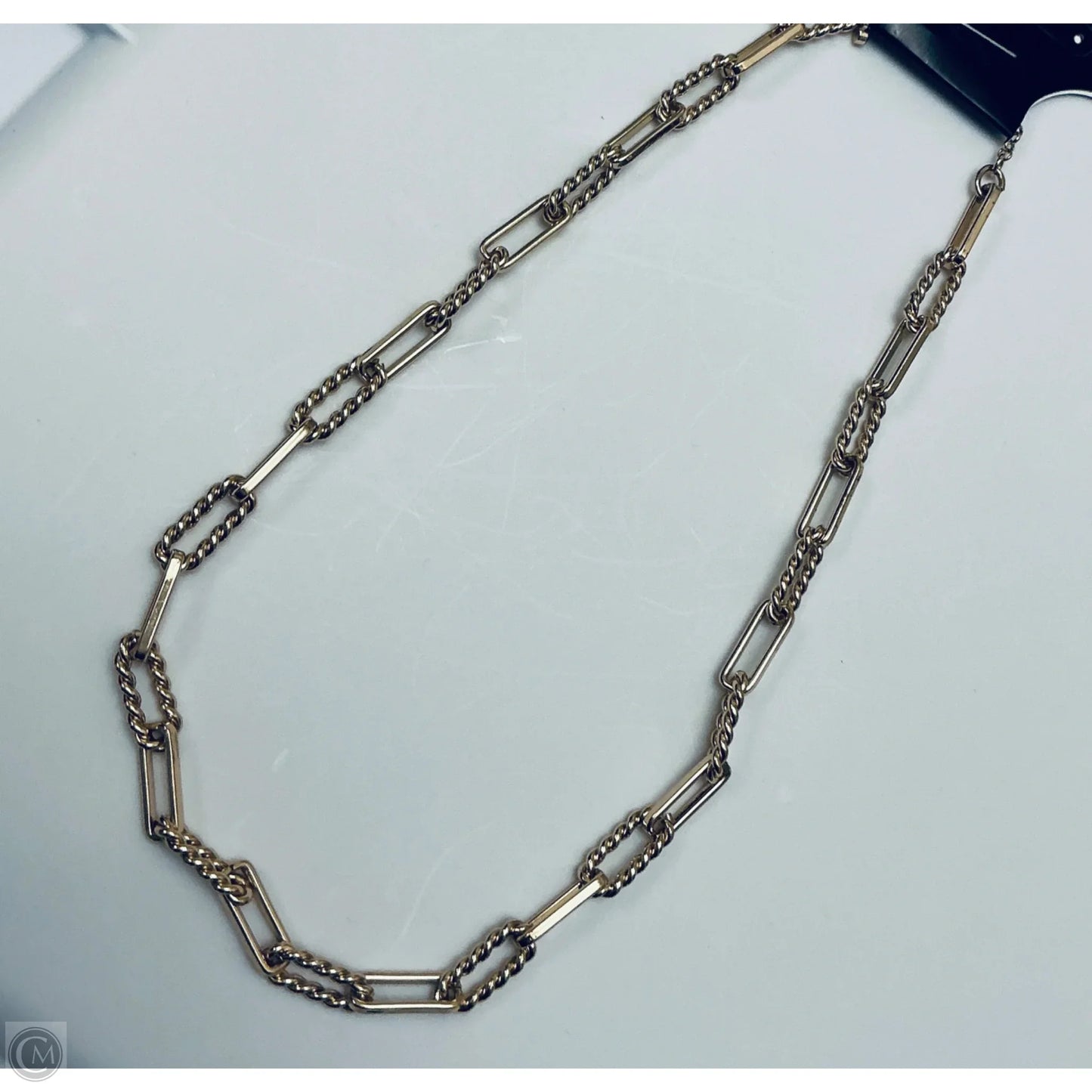 Necklace Chain By Loft