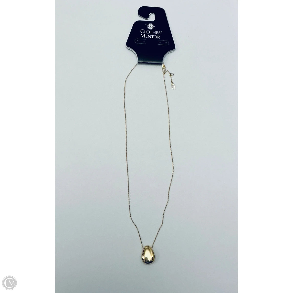 Necklace Pendant By Clothes Mentor
