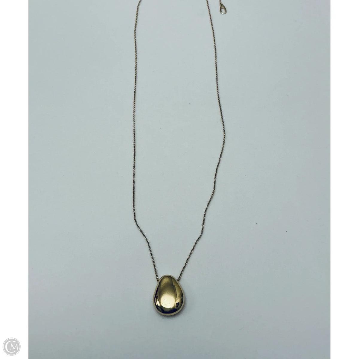 Necklace Pendant By Clothes Mentor