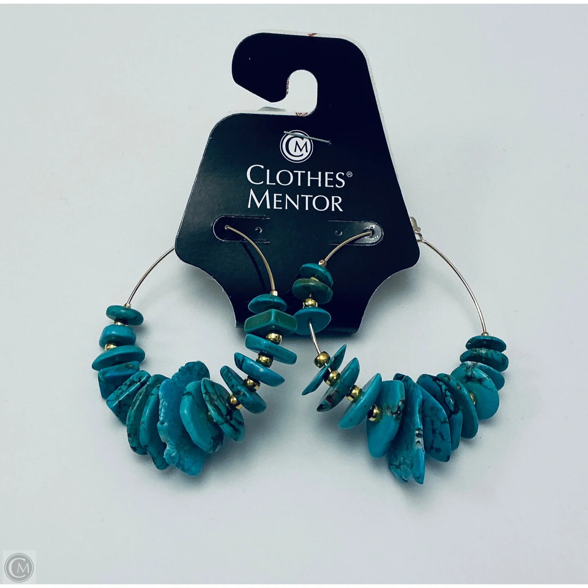 Earrings Dangle/drop By Clothes Mentor